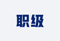 职级职务咨询