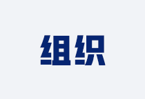 组织管理咨询